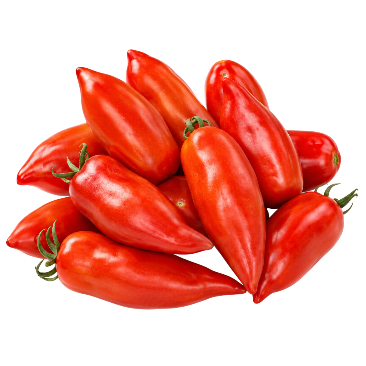 Pomodoro Corno di Toro di Contigliano