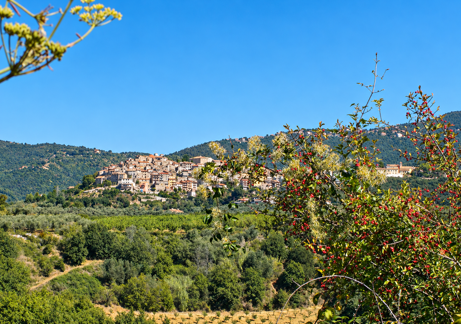 Moricone, panorama del borgo
